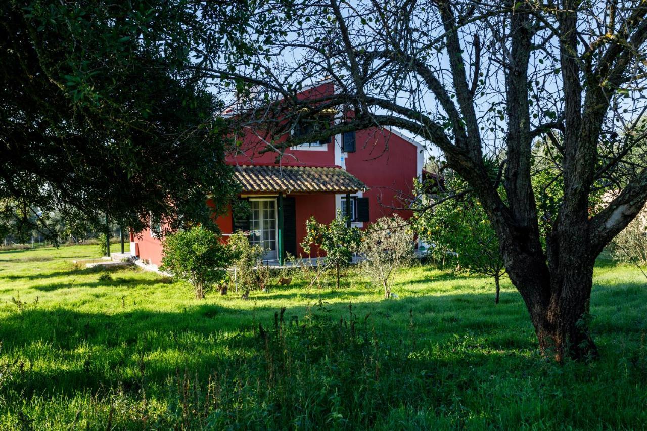 Fridas Place Halikúnasz Kültér fotó
